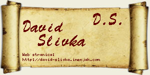 David Slivka vizit kartica